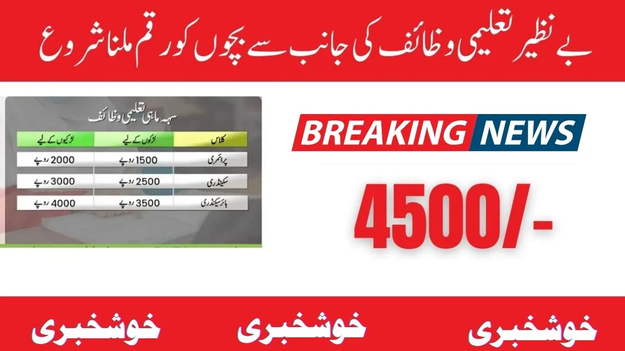 Benazir Taleemi Wazaif 4500 Payment Verification New Method 2024