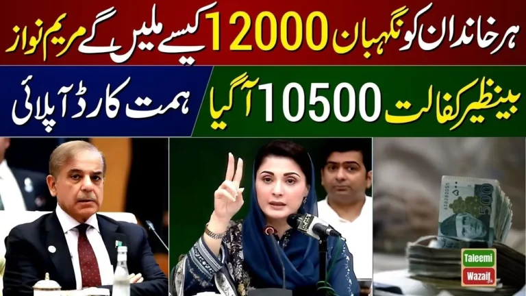 Latest Update: CM Punjab Decided to Launch the Himmat and Negahban Card 2024