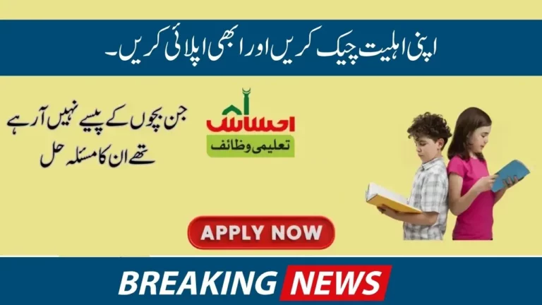 Check Your Eligibility & Apply Now Benazir Taleemi Wazaif Online Registration Guide (1)