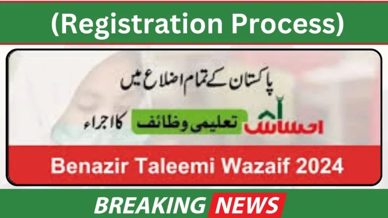 How to Register Offline for Benazir Taleemi Wazaif 2024 (Step-by-Step Guide)