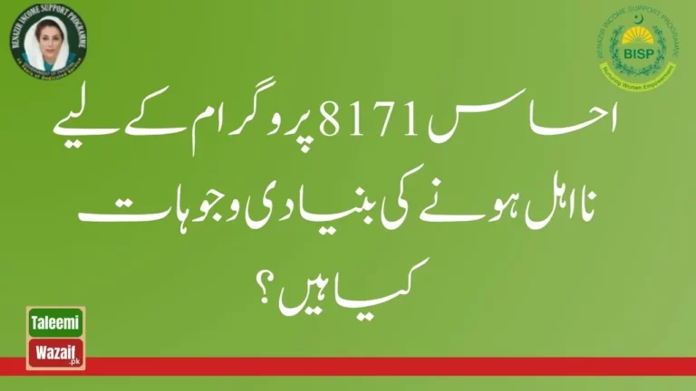 What are the Main Reasons of ineligible for the Ehsaas 8171 Program