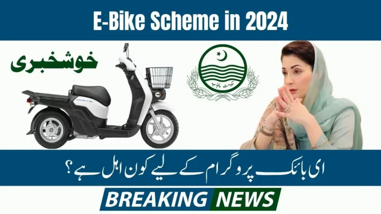 What is the Distribution Process for the E-Bike Scheme in 2024