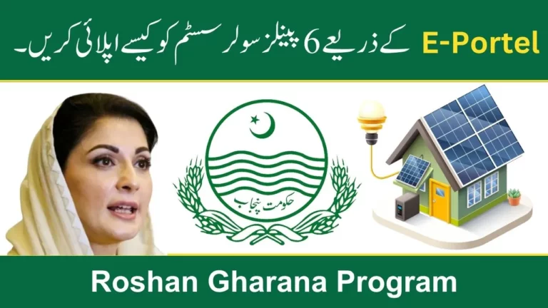 How To Apply 6 Panels Solar System Through E-Portal 2024