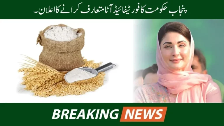 Good News: Punjab Govt Plans to Introduce Innovative Fortified Flour Packages by 2024