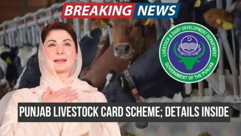 How to Apply for Maryam Nawaz’s Punjab Livestock Card Scheme Offering Interest-Free Loans to Farmers