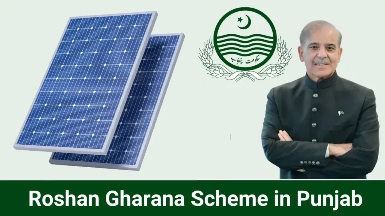 How to Apply for the Punjab Roshan Gharana Program in 2024 A Detailed Overview