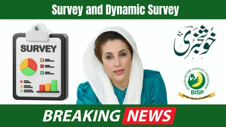 Key Differences Between Socio-Economic Registry Survey and Dynamic Survey