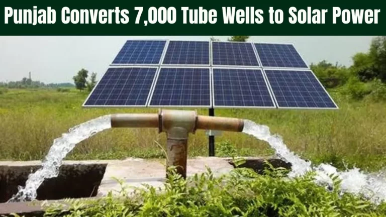 Punjab Converts 7,000 Tube Wells to Solar Power for Sustainable Farming