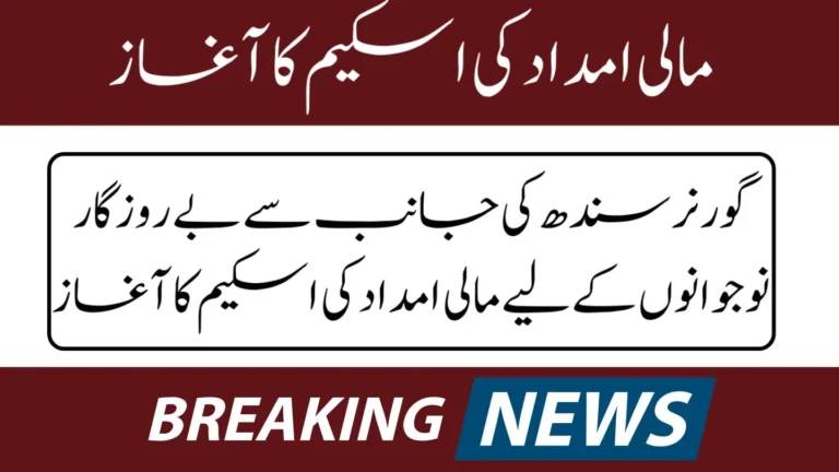 Launch of Financial Support Scheme for Unemployed Youth from Sindh Governor 2024