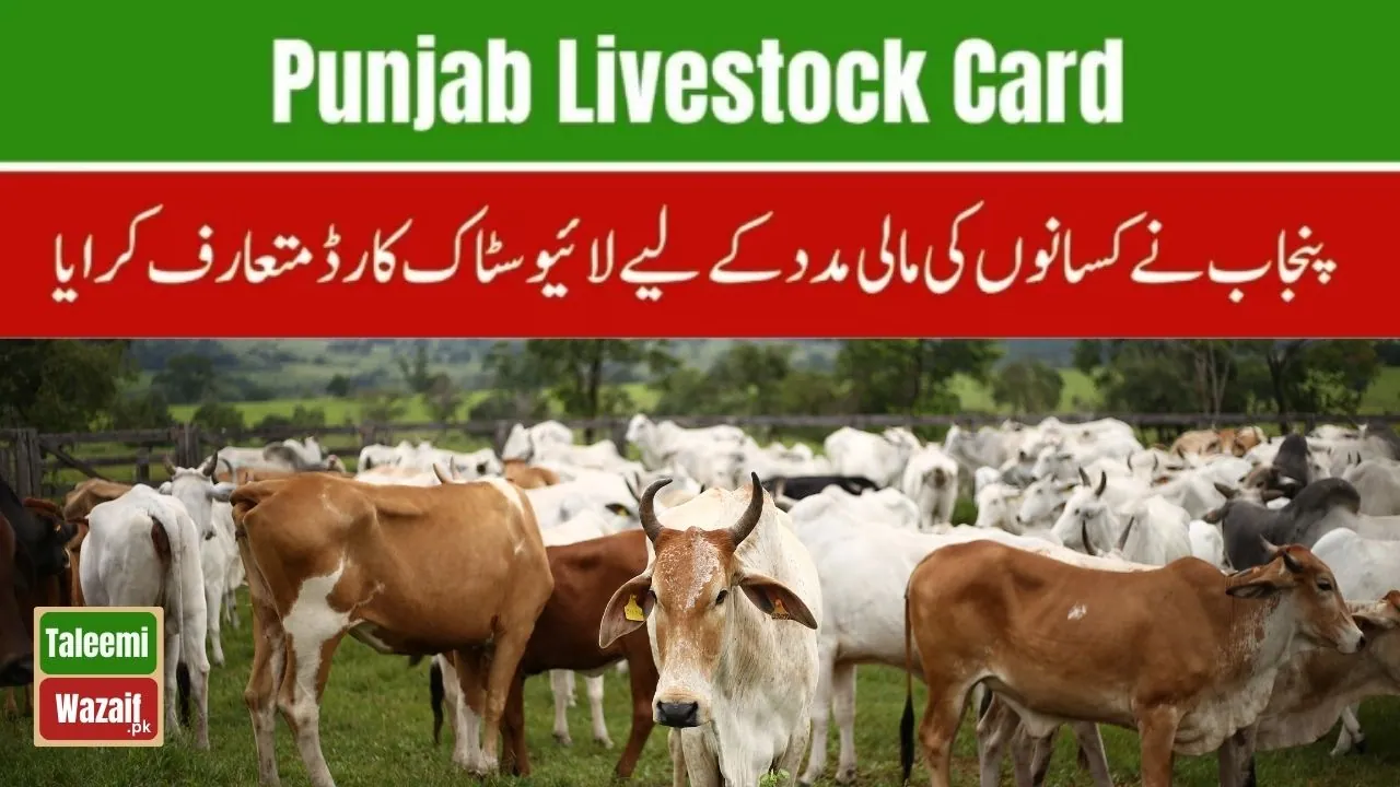 New Initiatives for Farmers: Understanding Punjab's Livestock Card